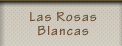 las rosas blancas